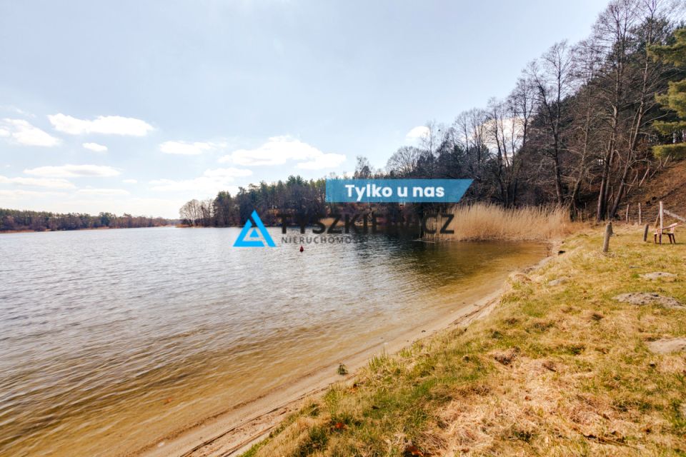 Działka leśna Zabrody