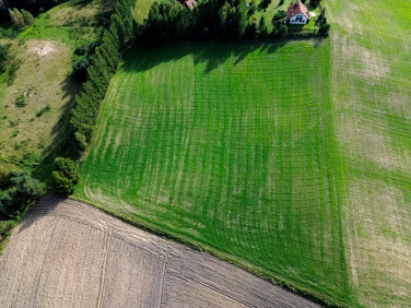 Działka budowlana Borek