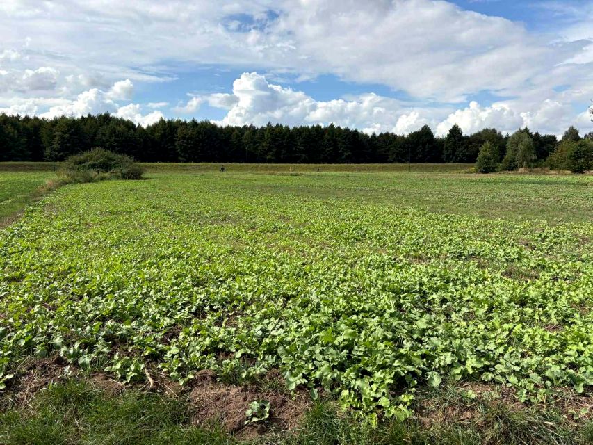 Działka Kalisz