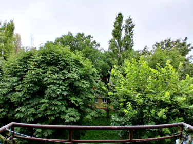 Mieszkanie Inowrocław