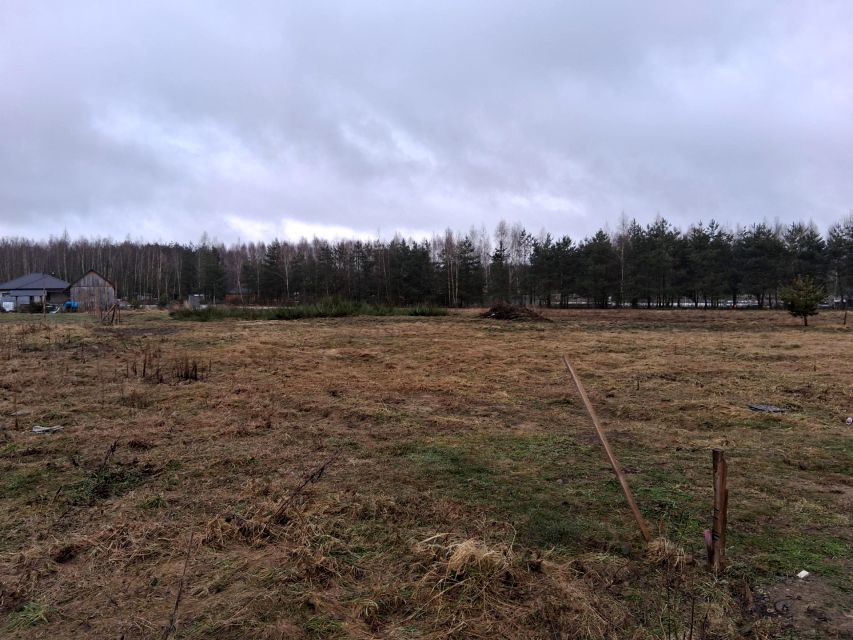 Działka Budy Głogowskie