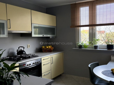 Mieszkanie Oleśnica