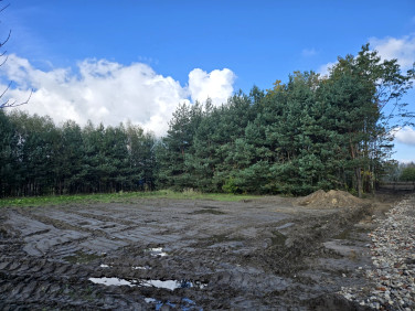 Działka Wierzchowisko