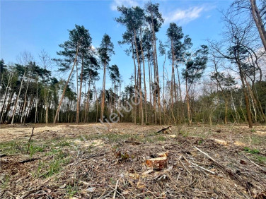 Działka Odrano-Wola
