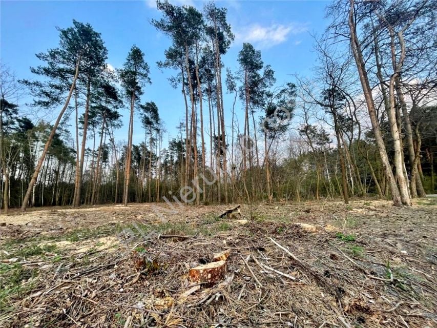 Działka Odrano-Wola