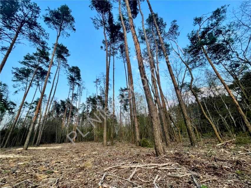 Działka budowlana Odrano-Wola