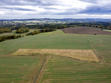 Działka Krzewie Wielkie