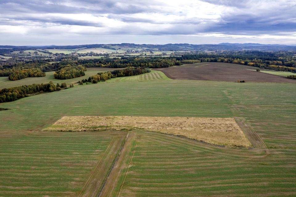Działka Krzewie Wielkie