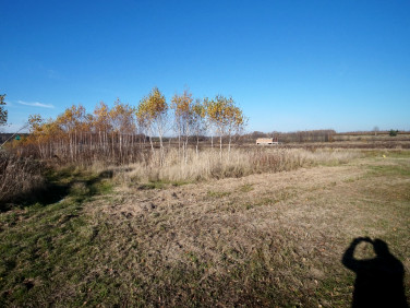 Działka Sokołów Małopolski