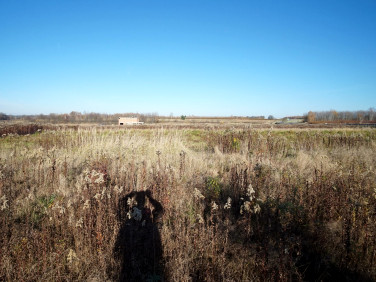 Działka Sokołów Małopolski