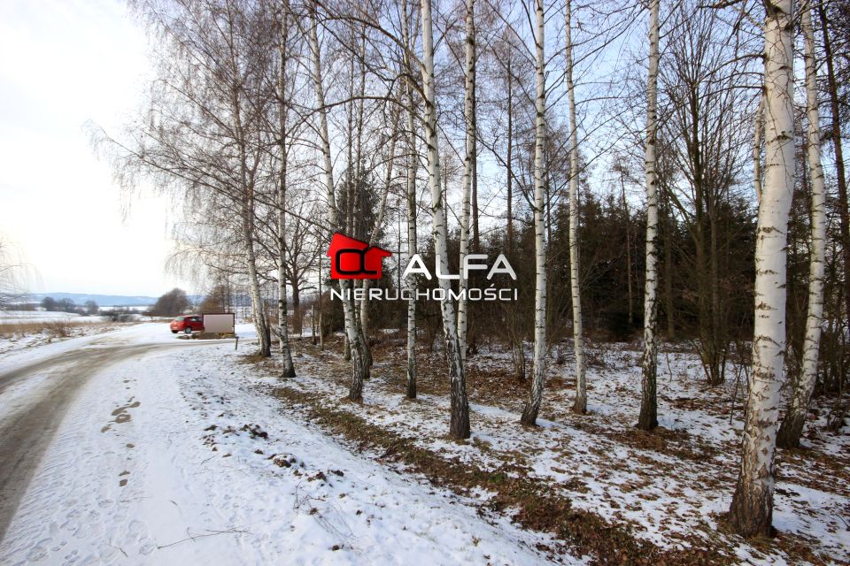 Zalesiona działka Grodziszcze