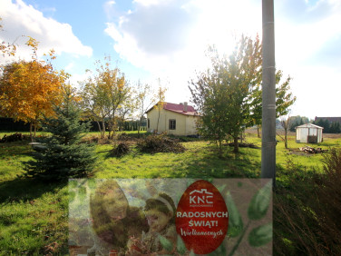 Dom Nasutów sprzedaż