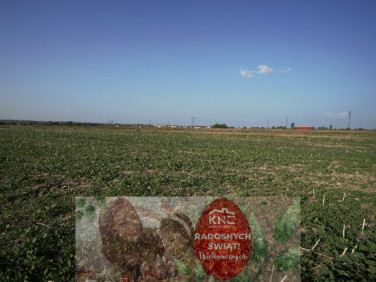 Działka budowlana Długie