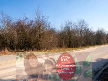 Działka budowlana Turka sprzedam