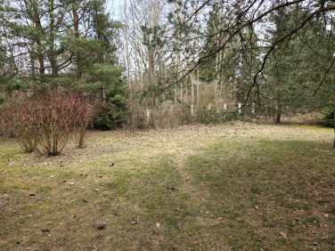 Działka budowlana Pisz