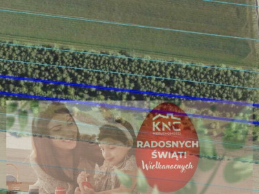 Działka Skrobów-Kolonia