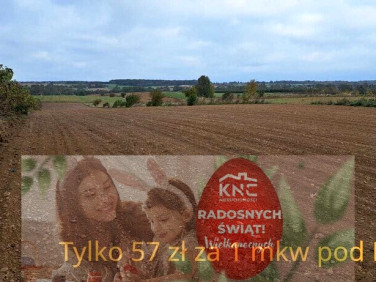 Działka budowlana Panieńszczyzna