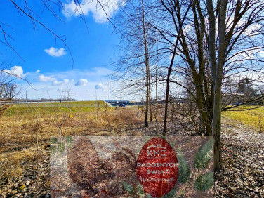 Działka Zemborzyce Tereszyńskie