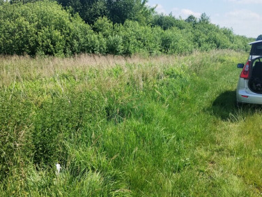 Działka rekreacyjna Gołąb