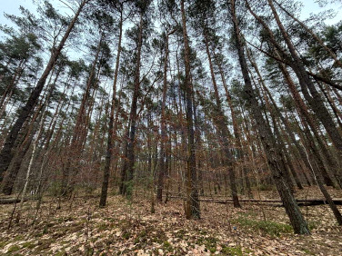 Działka budowlana Magdalenka