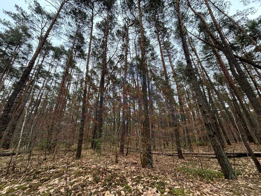 Działka budowlana Magdalenka