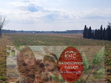 Działka Radawiec Mały