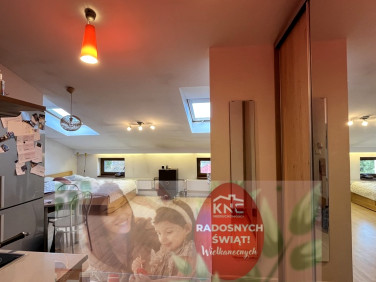 Mieszkanie Nałęczów sprzedaż