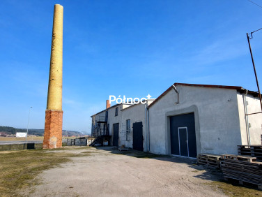 Budynek użytkowy Opalenie sprzedaż