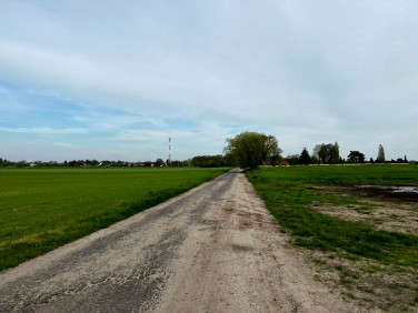 Działka rolna Kolsko