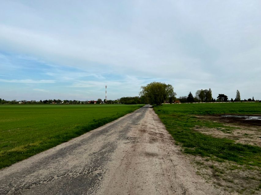 Działka rolna Kolsko