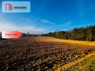 Działka budowlana Czarne Małe