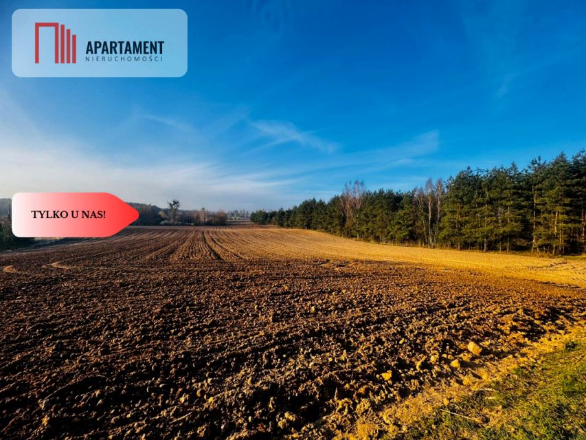 Działka budowlana Czarne Małe