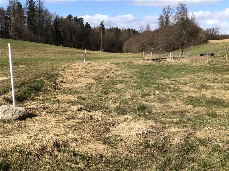 Działka budowlana Sławutowo