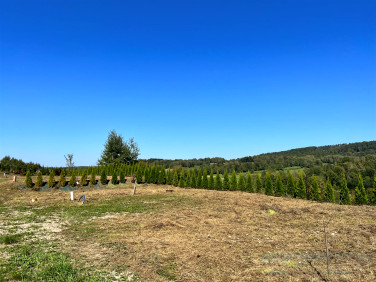 Działka rekreacyjna Solina