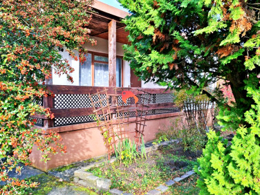 Działka rekreacyjna Bożenkowo