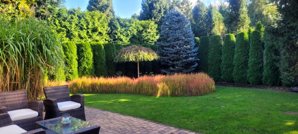 Mieszkanie Skórzewo