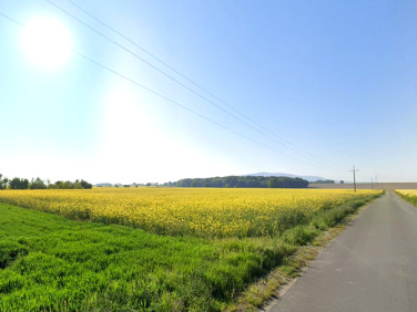 Działka rolna Maniów Mały