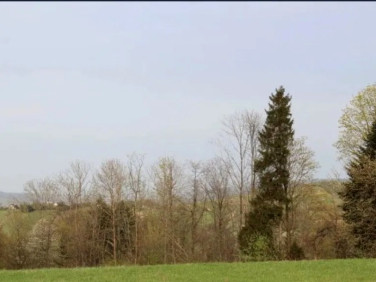 Działka rolno-leśna Leśnica