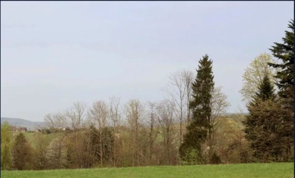 Działka rolno-leśna Leśnica