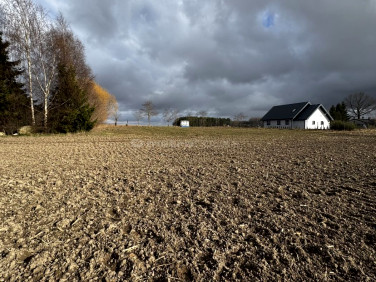 Działka rolna Charzyno