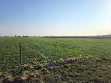 Działka budowlana Zaborówek