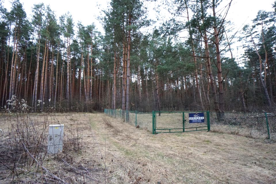 Działka przy lesie