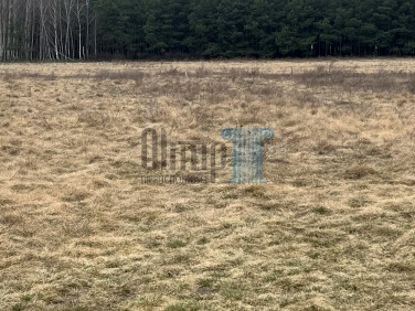 Działka budowlana Nowe Dąbie