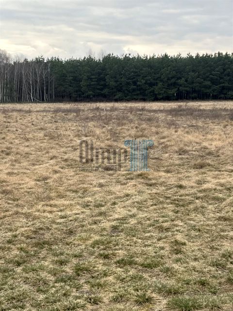 Działka budowlana Nowe Dąbie