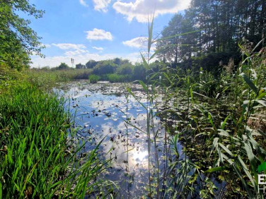 Ogrodzona działka sprzedam
