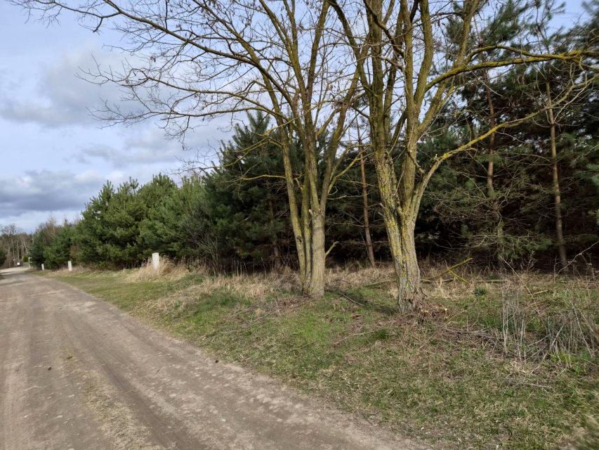 Działka budowlana Trzcielin