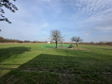 Działka budowlana Kozery