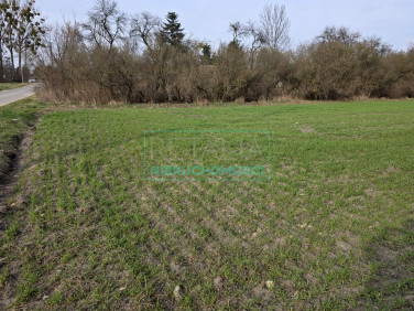 Działka budowlana Grodzisk Mazowiecki