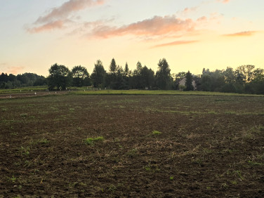 Pusta działka Lanckorona