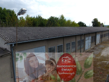 Budynek użytkowy Łaziska sprzedaż